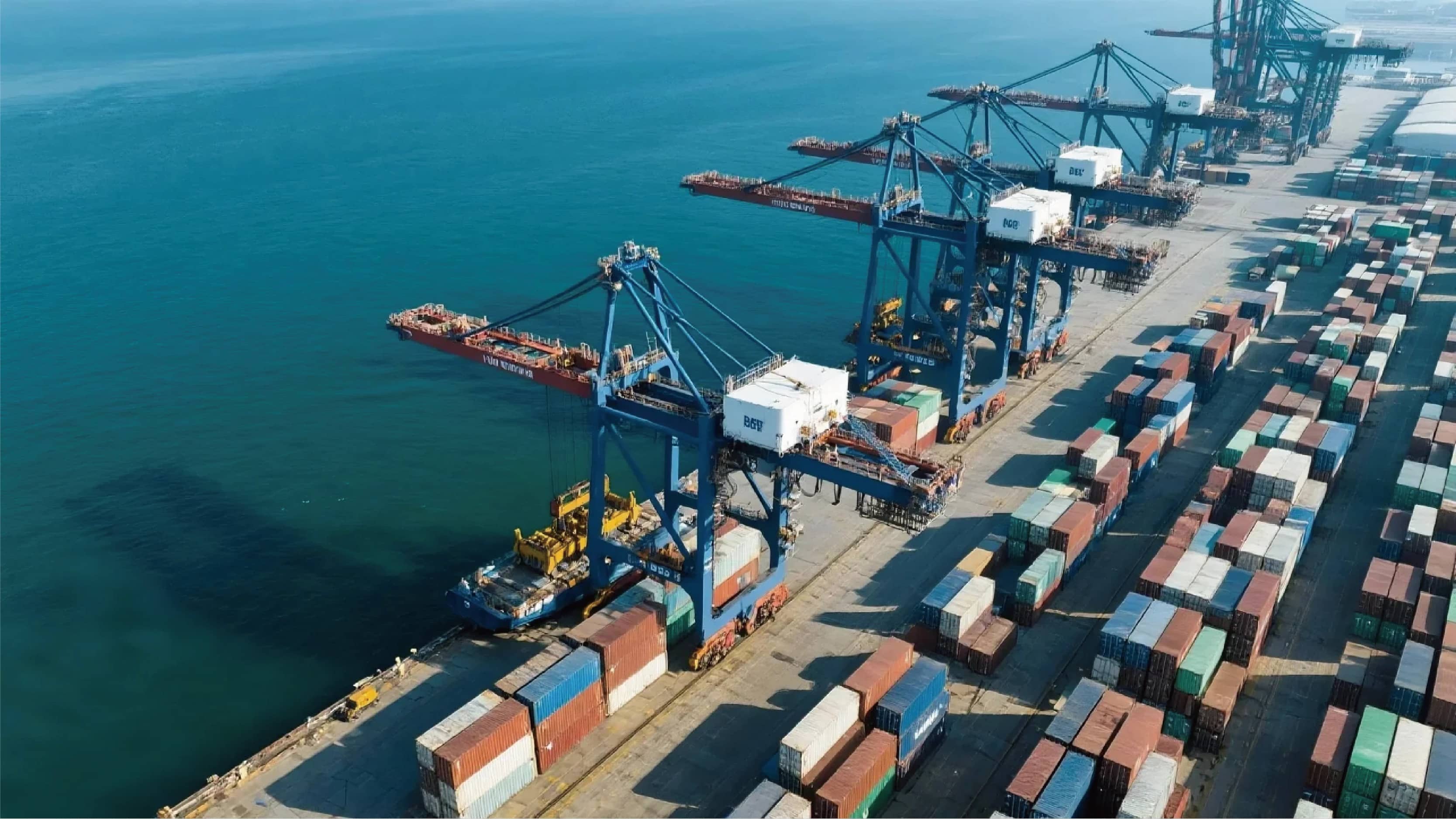 南非本地派送服务